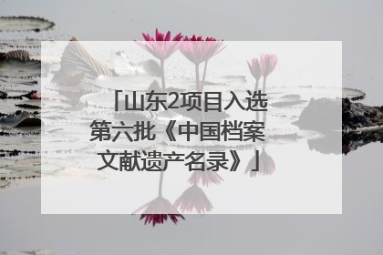 山东2项目入选第六批《中国档案文献遗产名录》