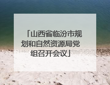 山西省临汾市规划和自然资源局党组召开会议