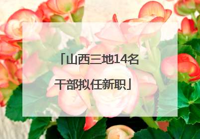 山西三地14名干部拟任新职