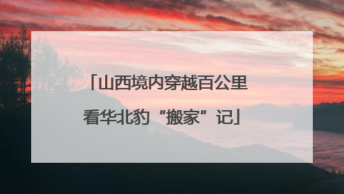 山西境内穿越百公里 看华北豹“搬家”记