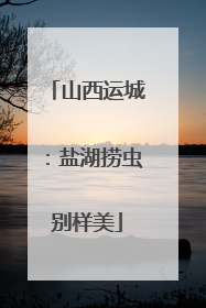 山西运城：盐湖捞虫别样美