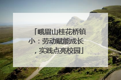 峨眉山桂花桥镇小：劳动赋能成长，实践点亮校园