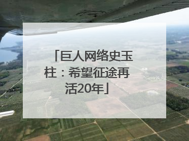 巨人网络史玉柱：希望征途再活20年