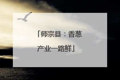 师宗县：香葱产业一路鲜