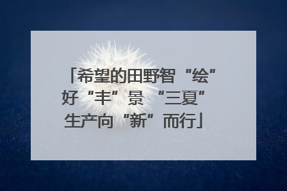 希望的田野智“绘”好“丰”景 “三夏”生产向“新”而行