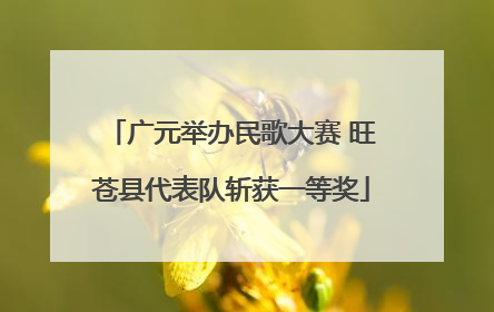 广元举办民歌大赛 旺苍县代表队斩获一等奖