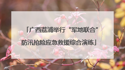 广西荔浦举行“军地联合”防汛抢险应急救援综合演练