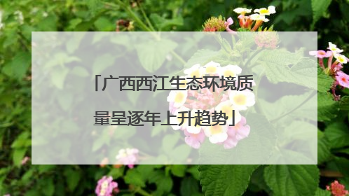 广西西江生态环境质量呈逐年上升趋势