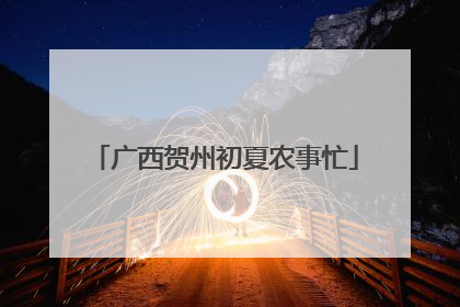 广西贺州初夏农事忙