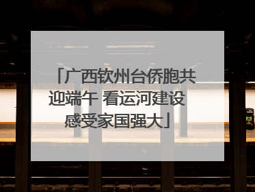 广西钦州台侨胞共迎端午 看运河建设感受家国强大