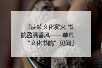 庚续文化薪火 书院盈满香风——单县“文化书院”见闻