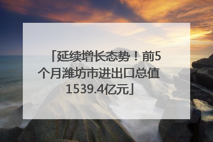 延续增长态势！前5个月潍坊市进出口总值1539.4亿元