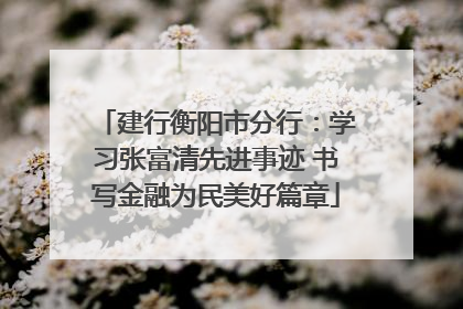 建行衡阳市分行：学习张富清先进事迹 书写金融为民美好篇章