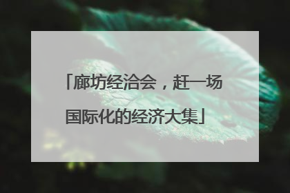廊坊经洽会，赶一场国际化的经济大集