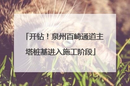 开钻！泉州百崎通道主塔桩基进入施工阶段