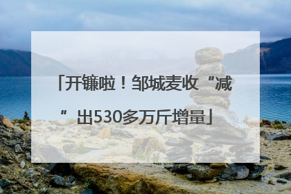 开镰啦！邹城麦收“减”出530多万斤增量