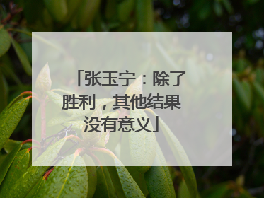 张玉宁：除了胜利，其他结果没有意义