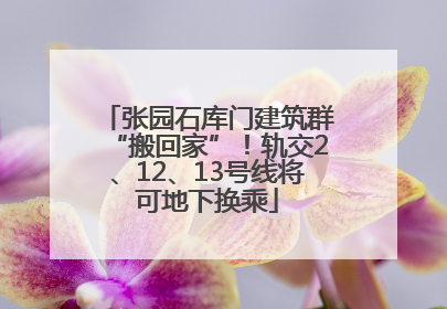 张园石库门建筑群“搬回家”！轨交2、12、13号线将可地下换乘