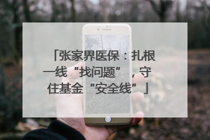 张家界医保：扎根一线“找问题”，守住基金“安全线”
