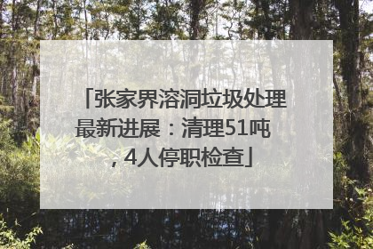 张家界溶洞垃圾处理最新进展：清理51吨，4人停职检查