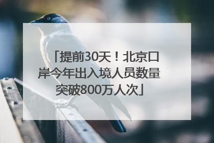 提前30天！北京口岸今年出入境人员数量突破800万人次