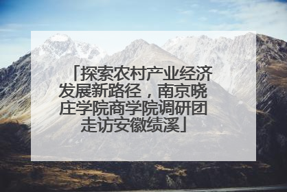 探索农村产业经济发展新路径，南京晓庄学院商学院调研团走访安徽绩溪