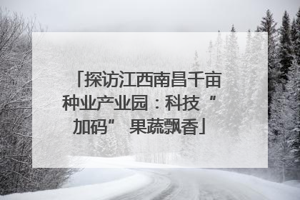 探访江西南昌千亩种业产业园：科技“加码” 果蔬飘香