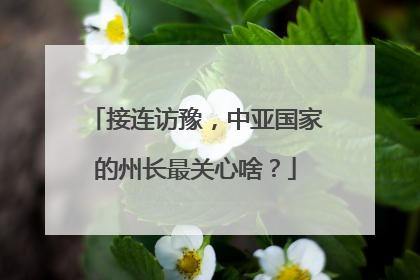 接连访豫，中亚国家的州长最关心啥？
