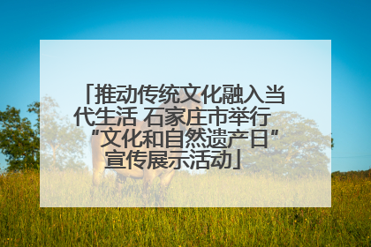 推动传统文化融入当代生活 石家庄市举行“文化和自然遗产日”宣传展示活动