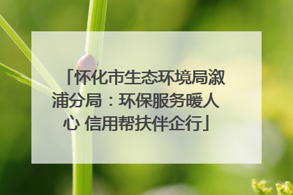 怀化市生态环境局溆浦分局：环保服务暖人心 信用帮扶伴企行