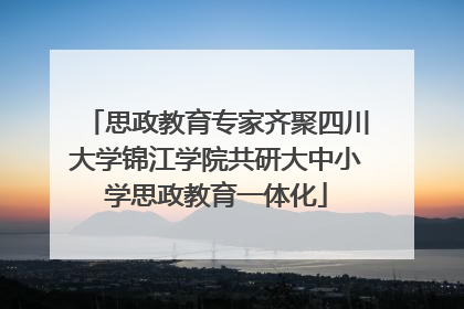 思政教育专家齐聚四川大学锦江学院共研大中小学思政教育一体化