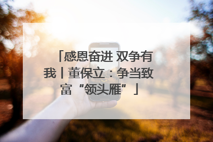 感恩奋进 双争有我丨董保立：争当致富“领头雁”