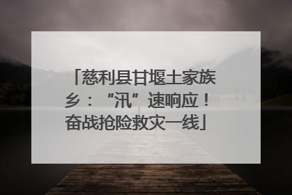 慈利县甘堰土家族乡：“汛”速响应！奋战抢险救灾一线
