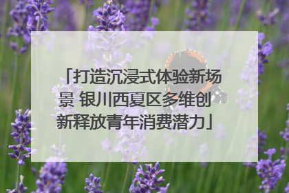 打造沉浸式体验新场景 银川西夏区多维创新释放青年消费潜力