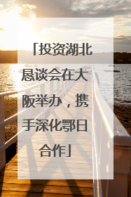 投资湖北恳谈会在大阪举办，携手深化鄂日合作
