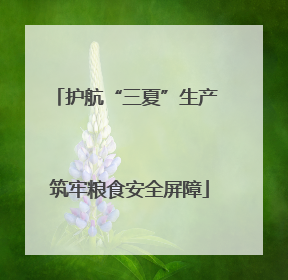 护航“三夏”生产 筑牢粮食安全屏障