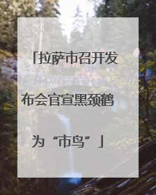 拉萨市召开发布会官宣黑颈鹤为“市鸟”
