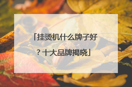 挂烫机什么牌子好？十大品牌揭晓