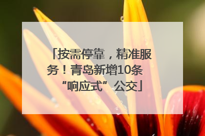 按需停靠，精准服务！青岛新增10条“响应式”公交