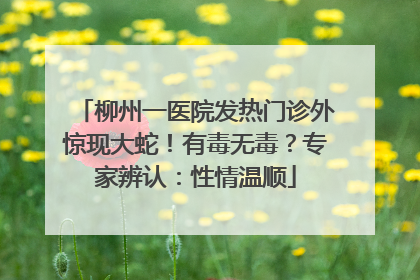 柳州一医院发热门诊外惊现大蛇！有毒无毒？专家辨认：性情温顺