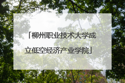 柳州职业技术大学成立低空经济产业学院
