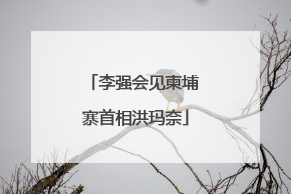 李强会见柬埔寨首相洪玛奈
