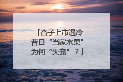 杏子上市遇冷 昔日“当家水果”为何“失宠”？