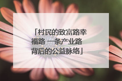 村民的致富路幸福路 一条产业路背后的公益脉络