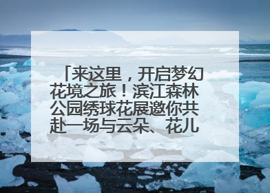 来这里，开启梦幻花境之旅！滨江森林公园绣球花展邀你共赴一场与云朵、花儿的浪漫之约