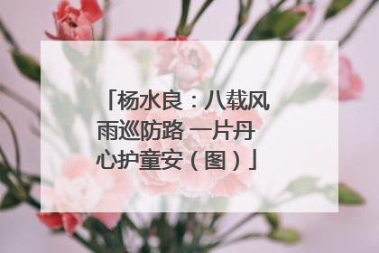 杨水良：八载风雨巡防路 一片丹心护童安（图）