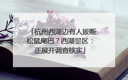 杭州西湖边有人拔断松鼠尾巴？西湖景区：正展开调查核实