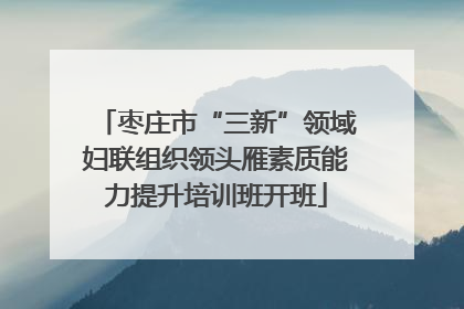 枣庄市“三新”领域妇联组织领头雁素质能力提升培训班开班