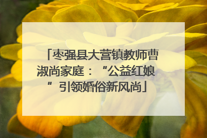 枣强县大营镇教师曹淑尚家庭：“公益红娘”引领婚俗新风尚