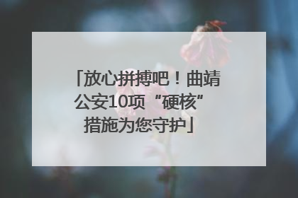放心拼搏吧！曲靖公安10项“硬核”措施为您守护